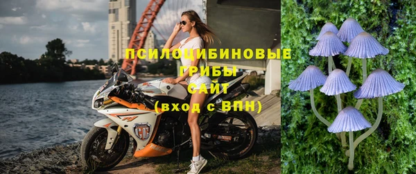 молекула духа Зеленодольск
