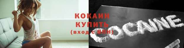 спиды Зерноград