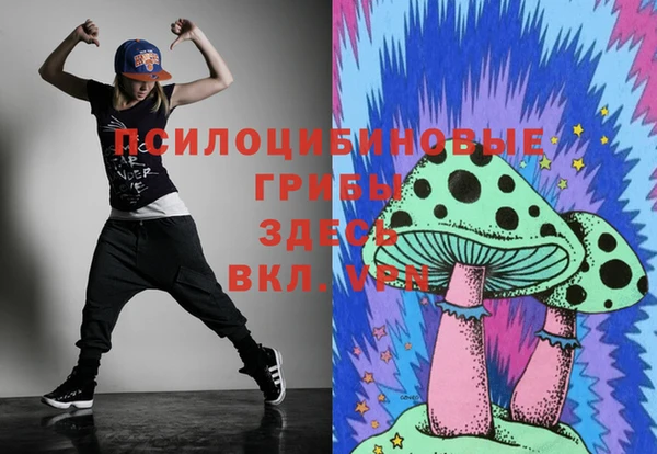спиды Зерноград