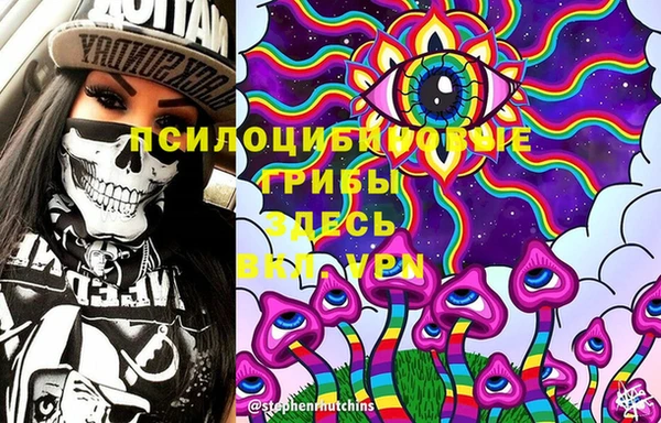 PSILOCYBIN Зеленокумск