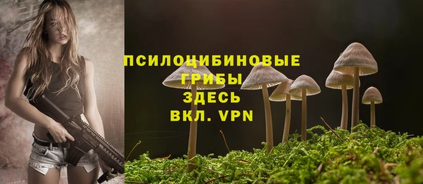 спиды Зерноград